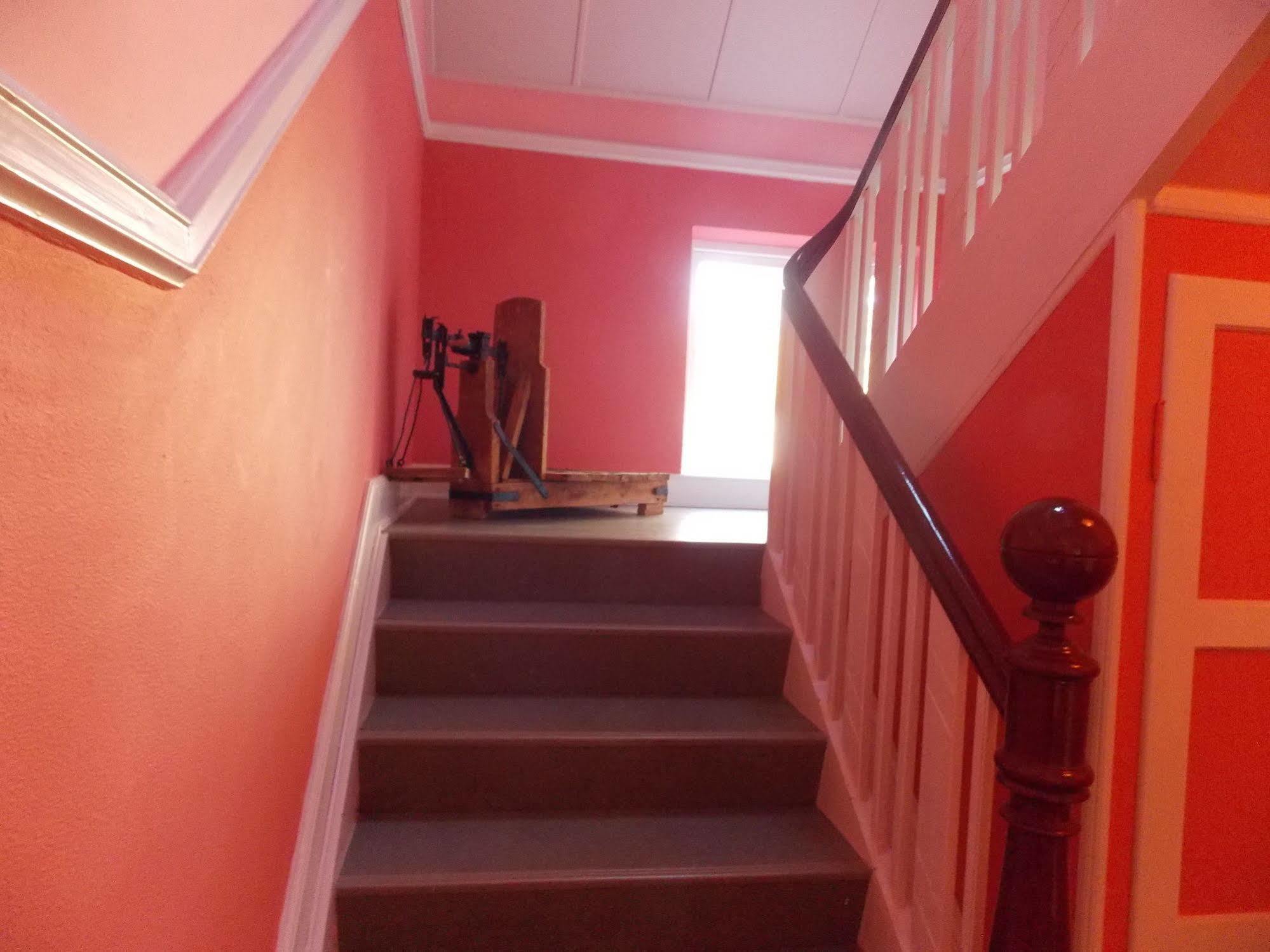 Nygammelso Bed & Breakfast Stege Bagian luar foto